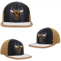 Chicago Bulls Snapback Cap 25G019