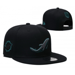 Miami Dolphins Snapback Cap 25901