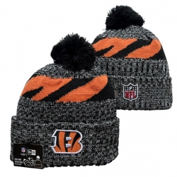 Cincinnati Bengals NFL Beanies 005