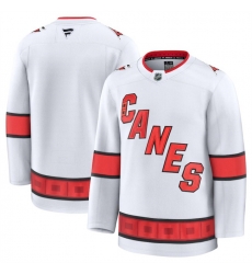 Men Carolina Hurricanes Blank White 2024 25 Away Stitched Hockey Jersey