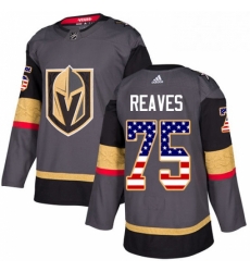 Mens Adidas Vegas Golden Knights 75 Ryan Reaves Authentic Gray USA Flag Fashion NHL Jersey