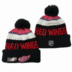 Detroit Red Wings NHL Beanies 003