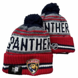 Florida Panthers NHL Beanies 002