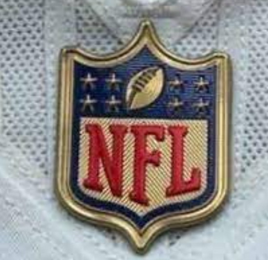 Women Seattle Seahawks Gold NFL Logo Patch Biaog