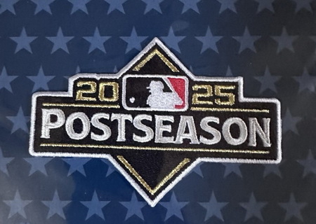 Men New York Yankees MLB 2025 Postseason Patch Biaog